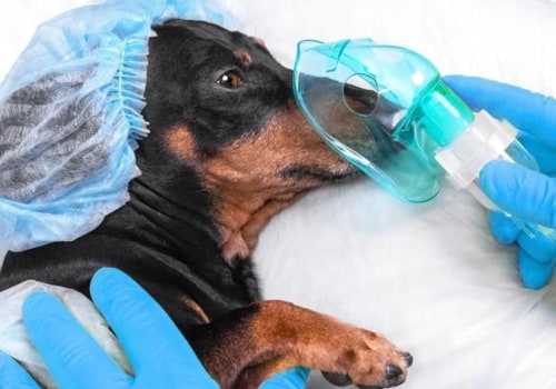 How much is back surgery worth?